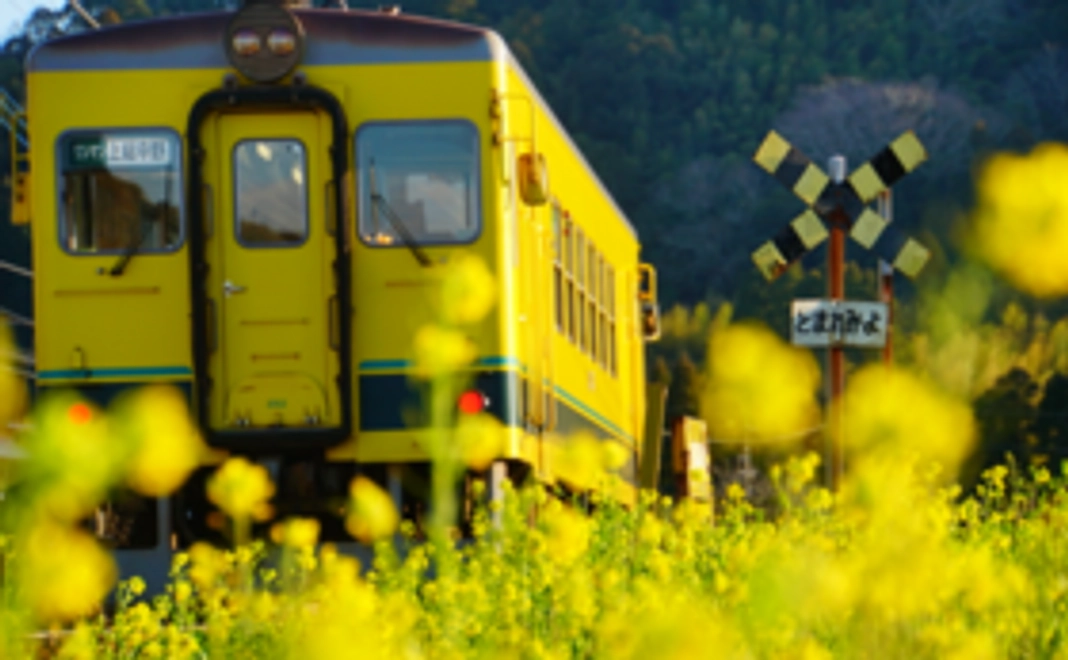 【乗って】応援コース