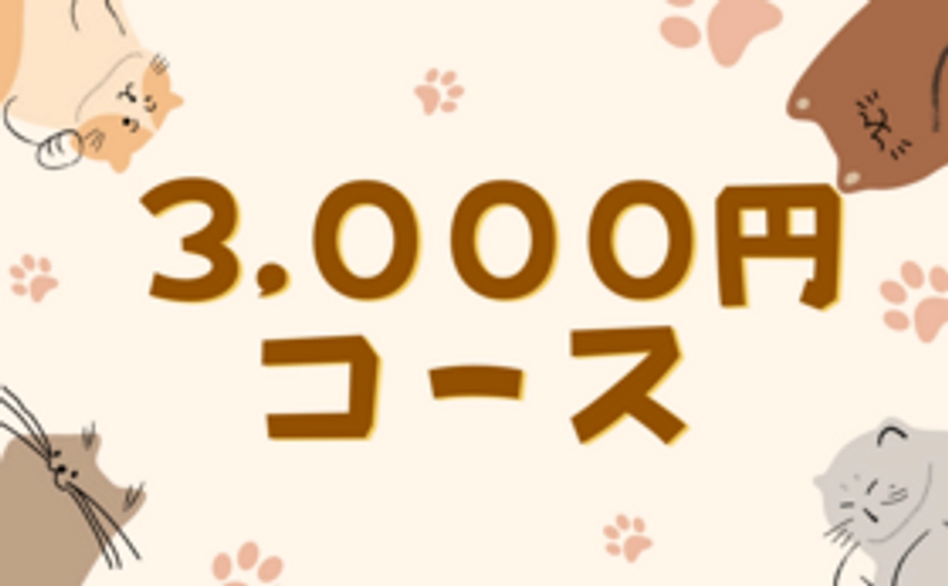 【3,000円コース】感謝のメール＋オリジナルグッズA（ポストカード＆A4ファイル）
