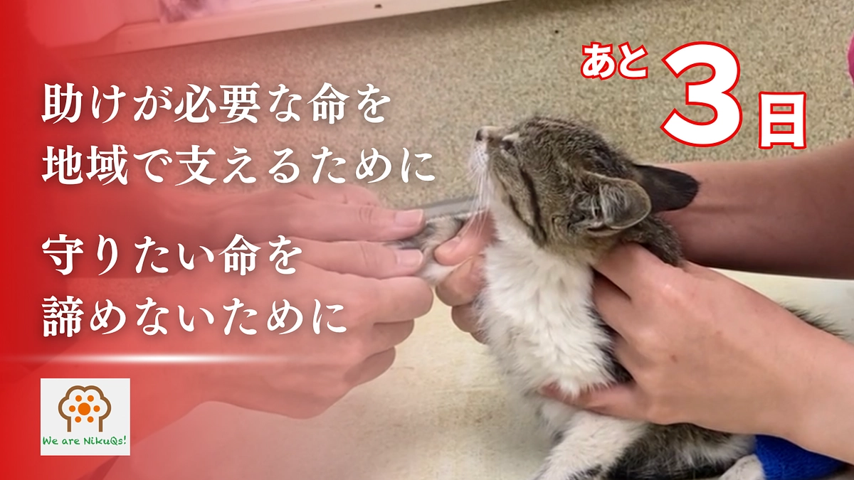 残り3日となりました！沢山の応援メッセージに感謝の気持ちでいっぱいです