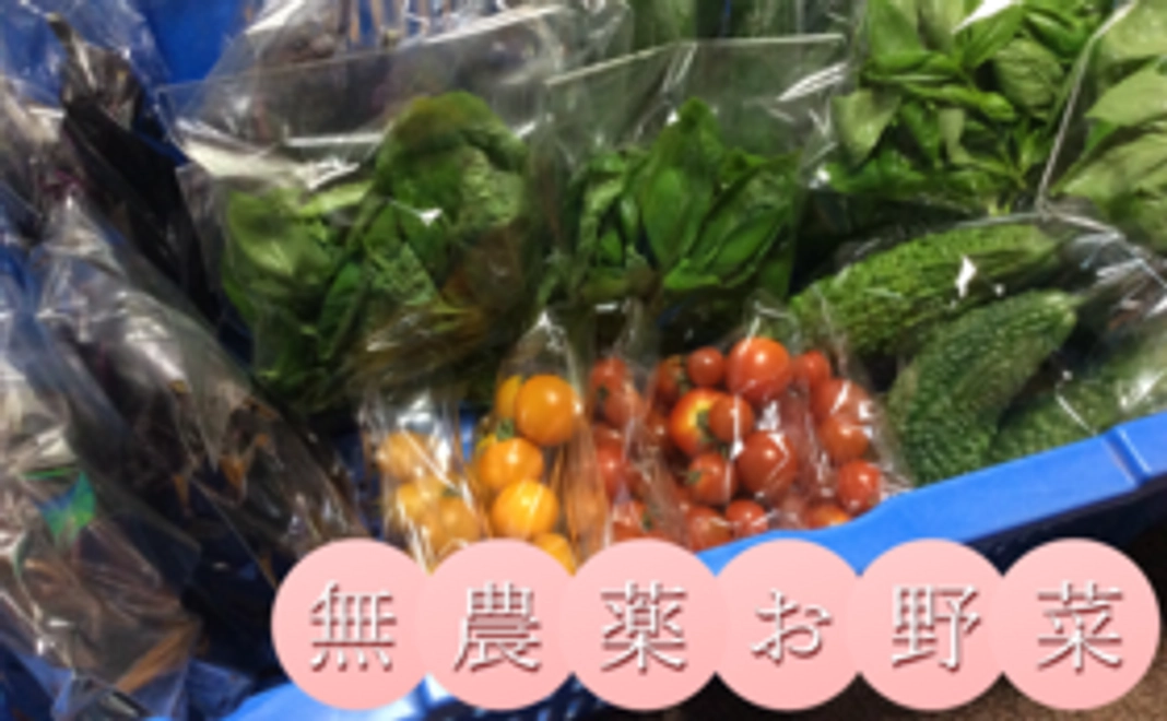 当社の農業部より【季節のお野菜詰め合わせセット！】