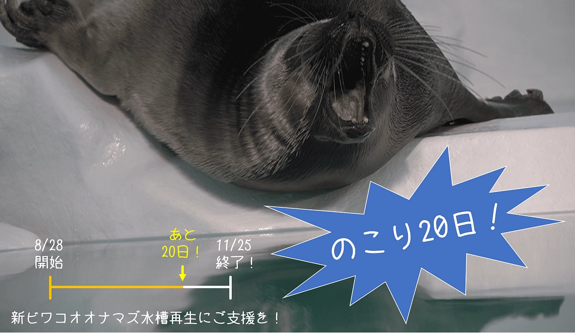 【クラファン終了まで残り20日】びわ博の舞台裏②