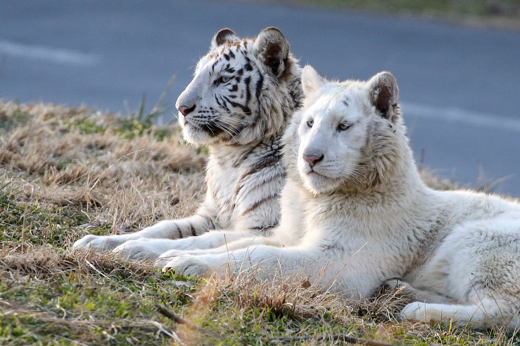 2月29日(木) 本日最終日！ 進捗報告3回目 
