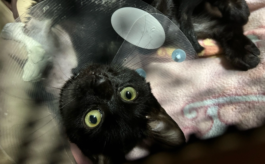 ご支援プラン２