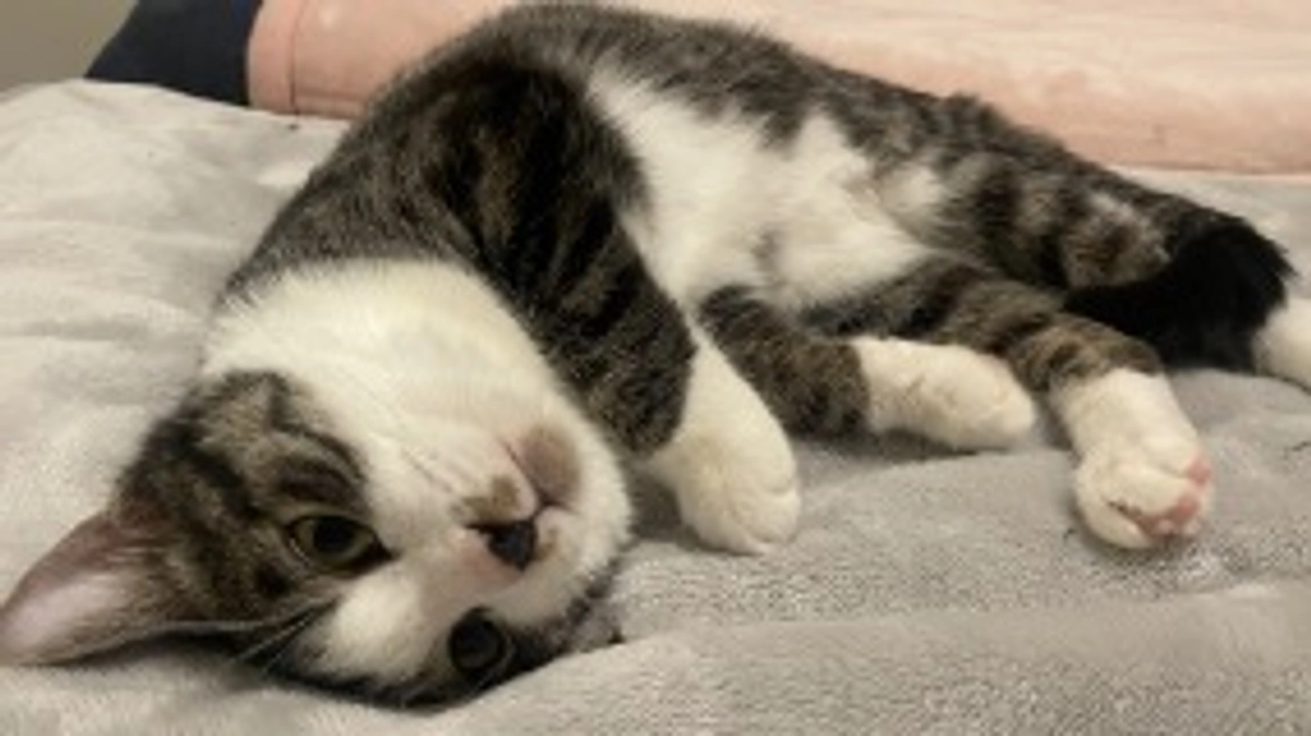 お腹がちょっとゆるいですが元気です。