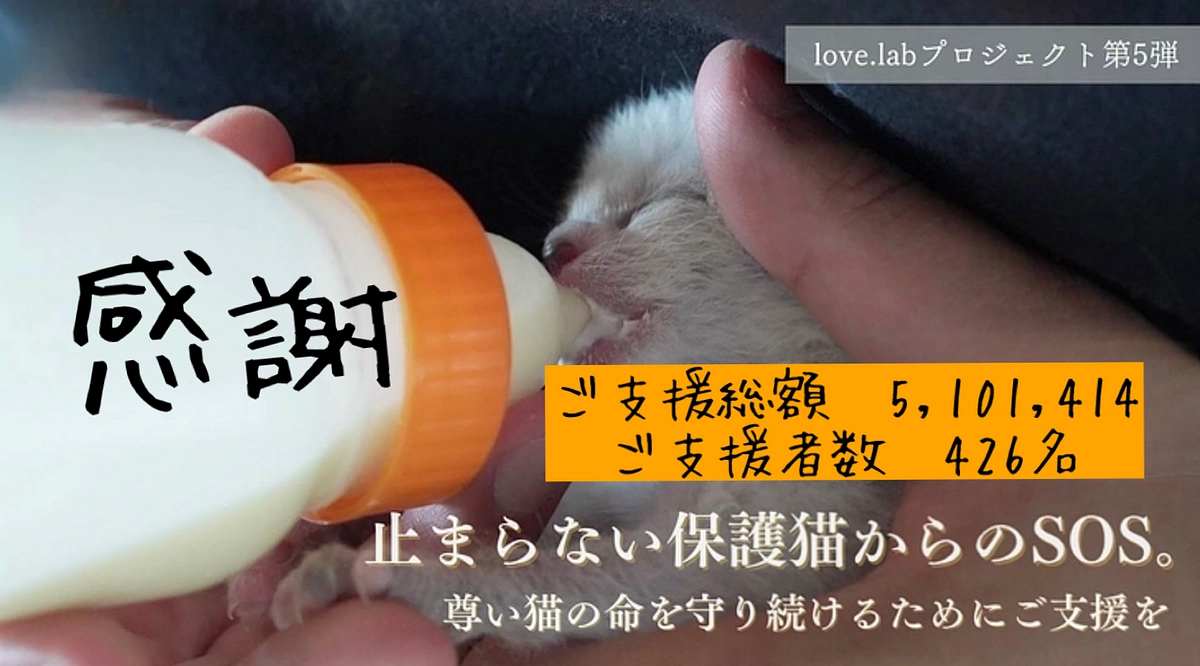 皆様に心より感謝申し上げます。