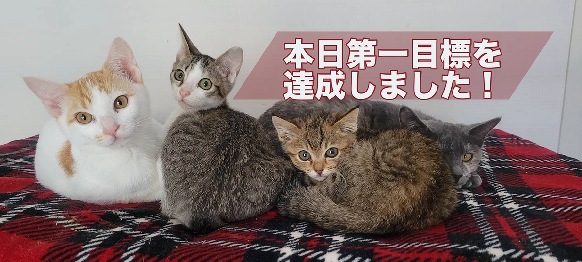 第一目標達成のご報告