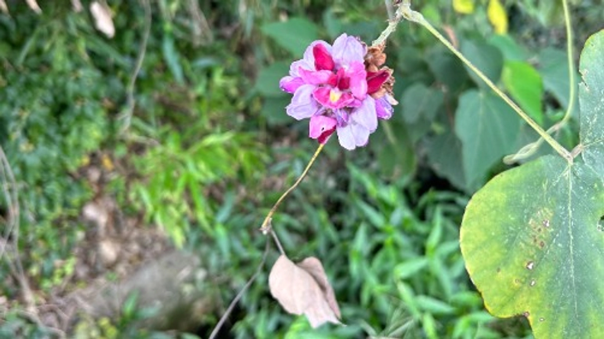 【ご支援いただいた皆様へ】大切なお知らせ（資金使途の一部修正に関して）