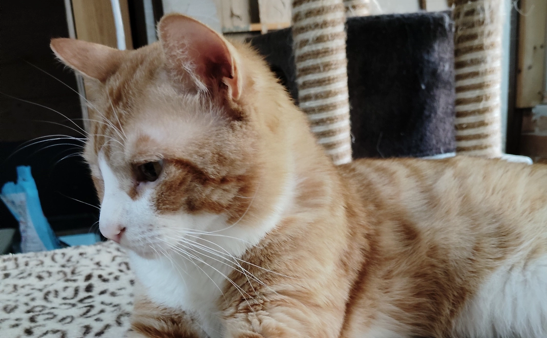 感謝のメール２