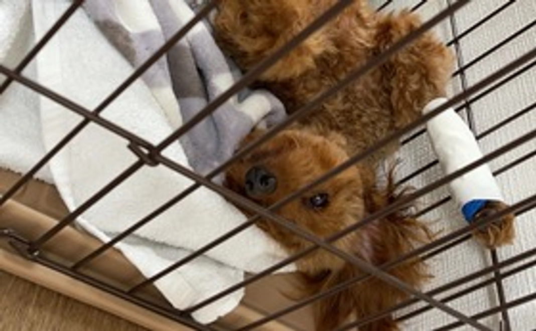 「３０００円」がんばれコース