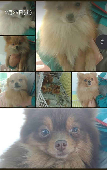 8ヶ月間続いた事。