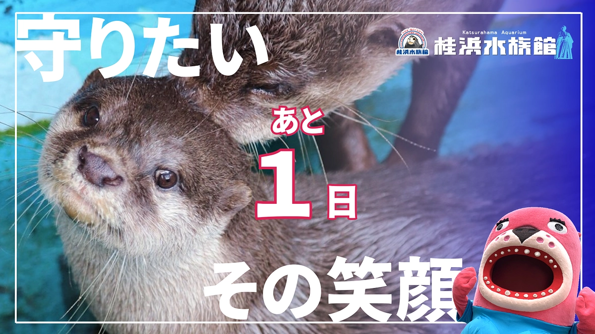 ＼あと1日！／明日でラストとなります！