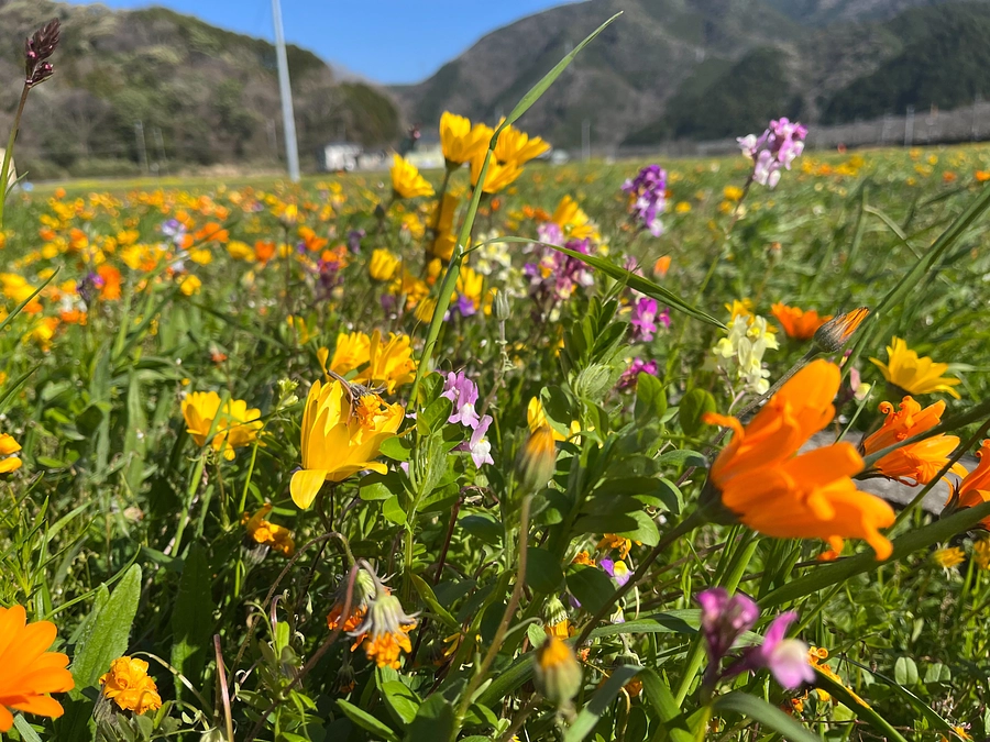 目標達成のお礼と最後のお願い ＋ 折り紙製イヤリングのこと