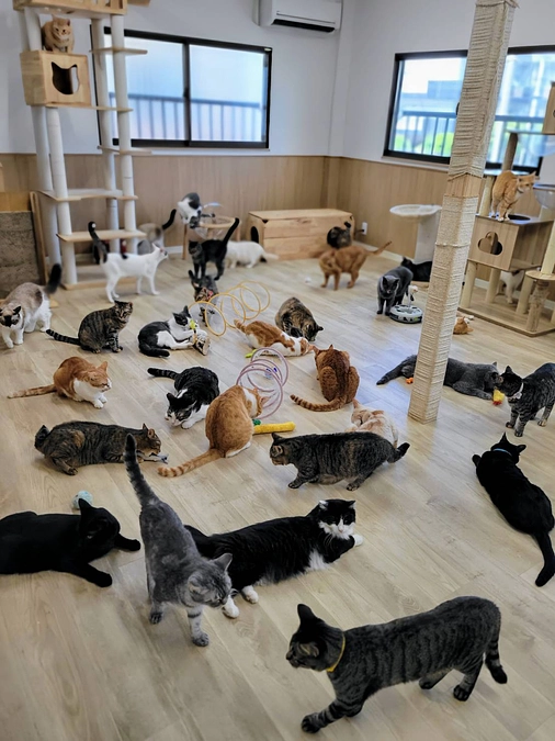 5/9(金)の9時からのクラウドファンディング実施に向けて急ピッチで準備中です。