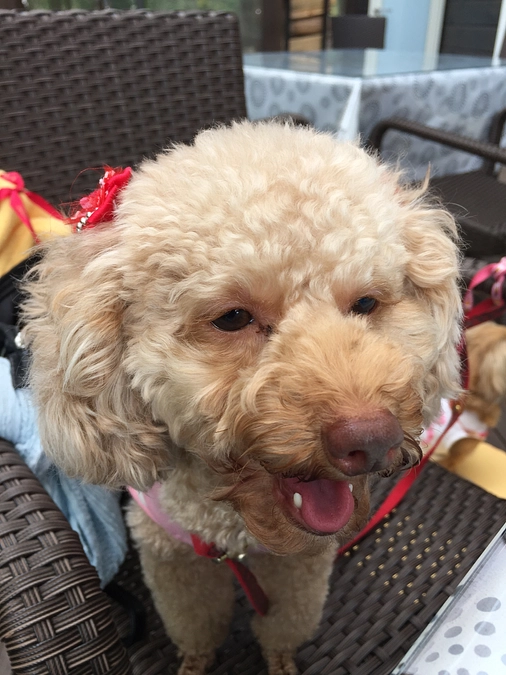 8/4のありがとうございます！