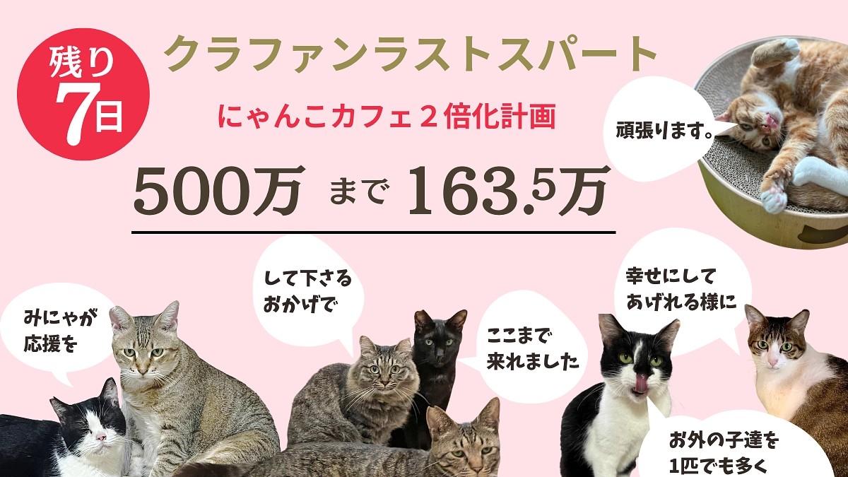 【残り7日】出会った子達を皆幸せにする為に、ネクストゴール達成に向けて頑張ります！