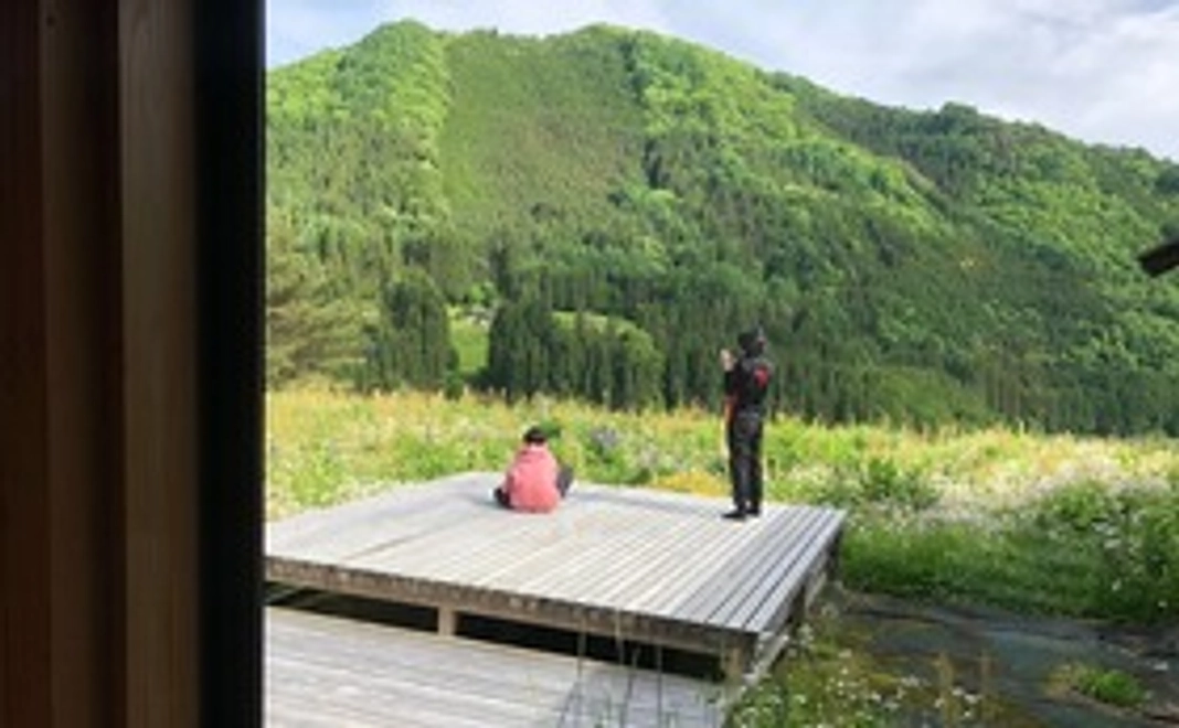 こっそり応援コース