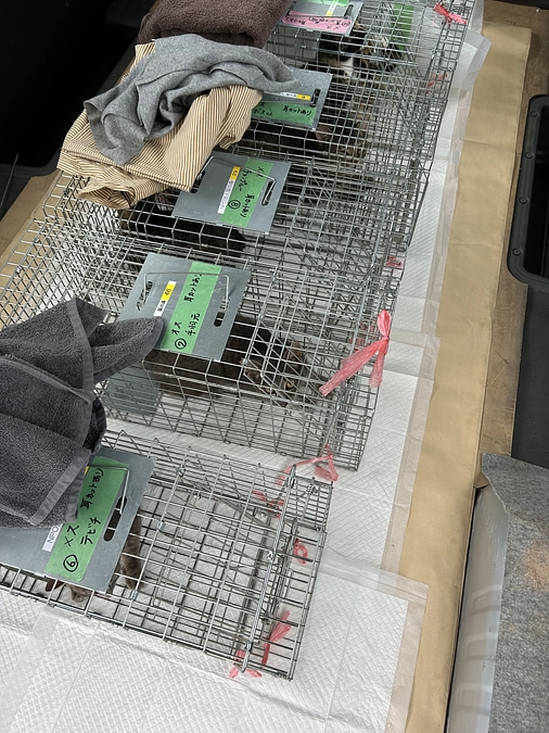 Instagramライブのお知らせ6月29日(土)