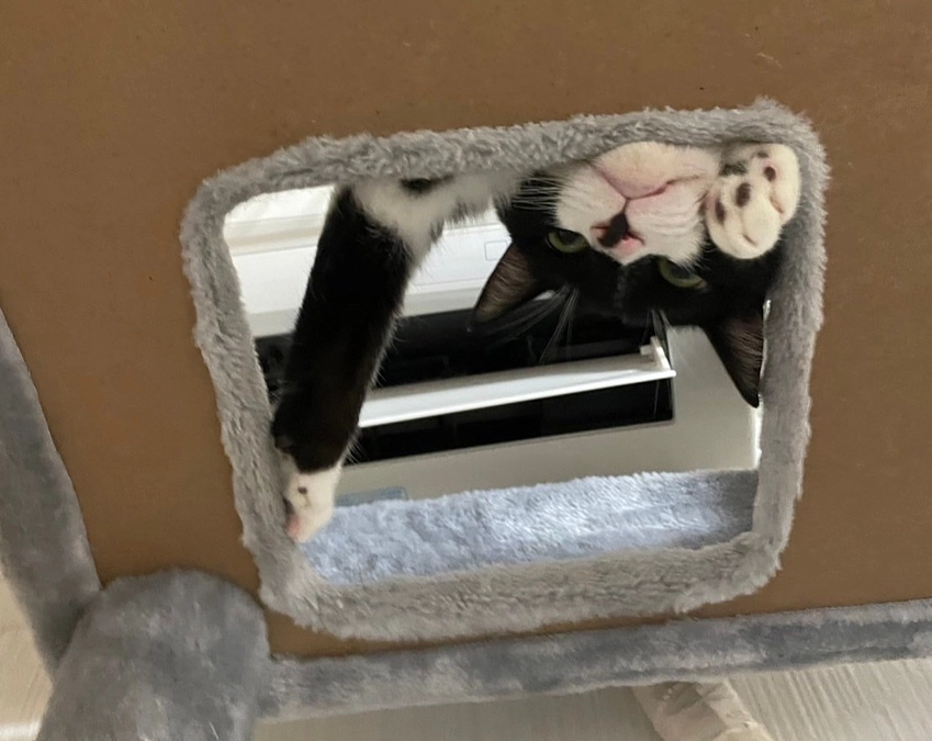 クラウドファンディングSTARTしました！！【１日目】