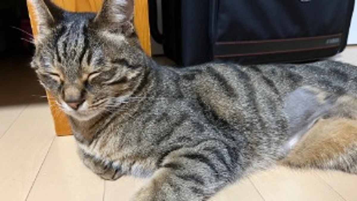 【今日のなっちゃん】6月15日