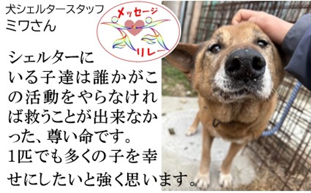 リレー１２．誰かがやらなければ救うことが出来なかった、尊い命です。