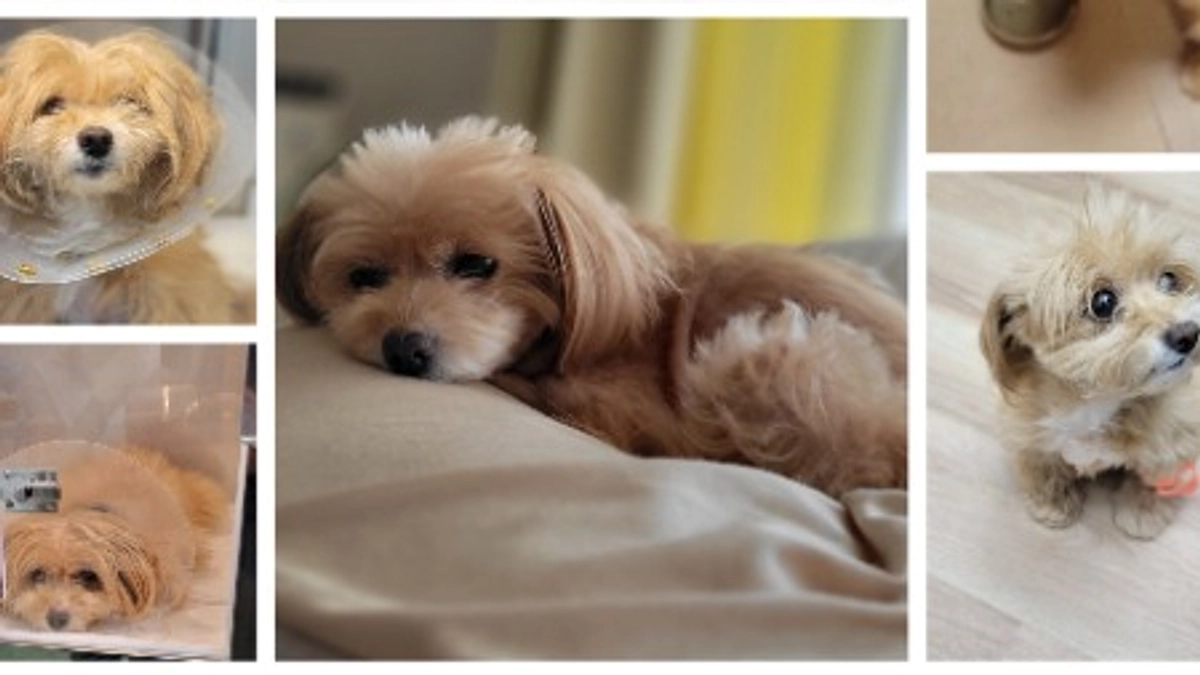 達成できました！ありがとうございます。