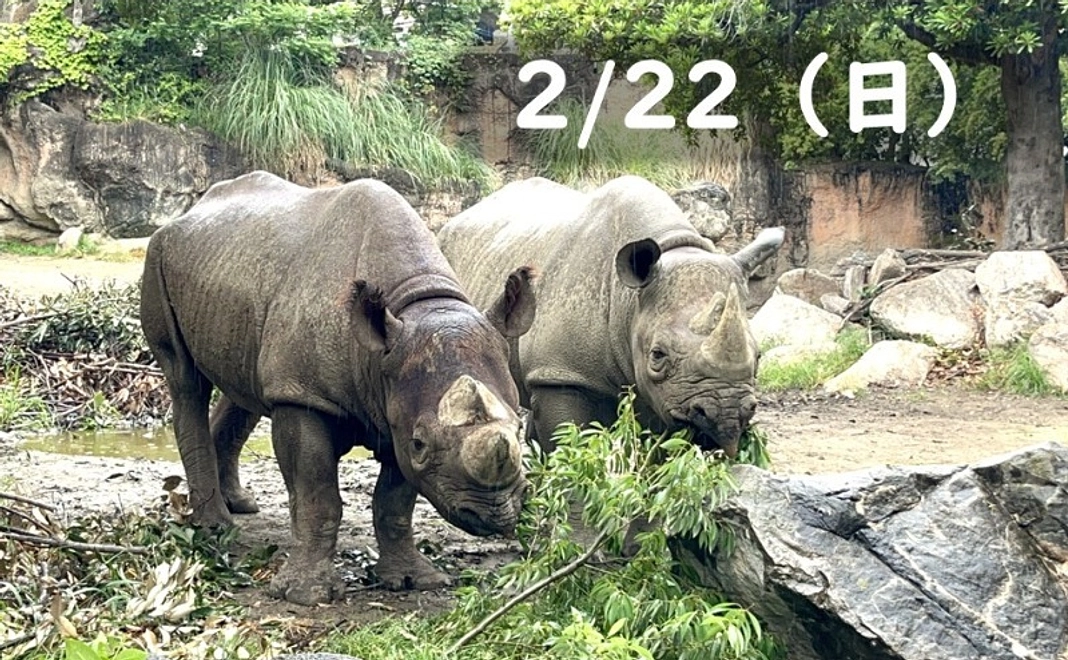 【2/22(日)】クロサイのバックヤード見学