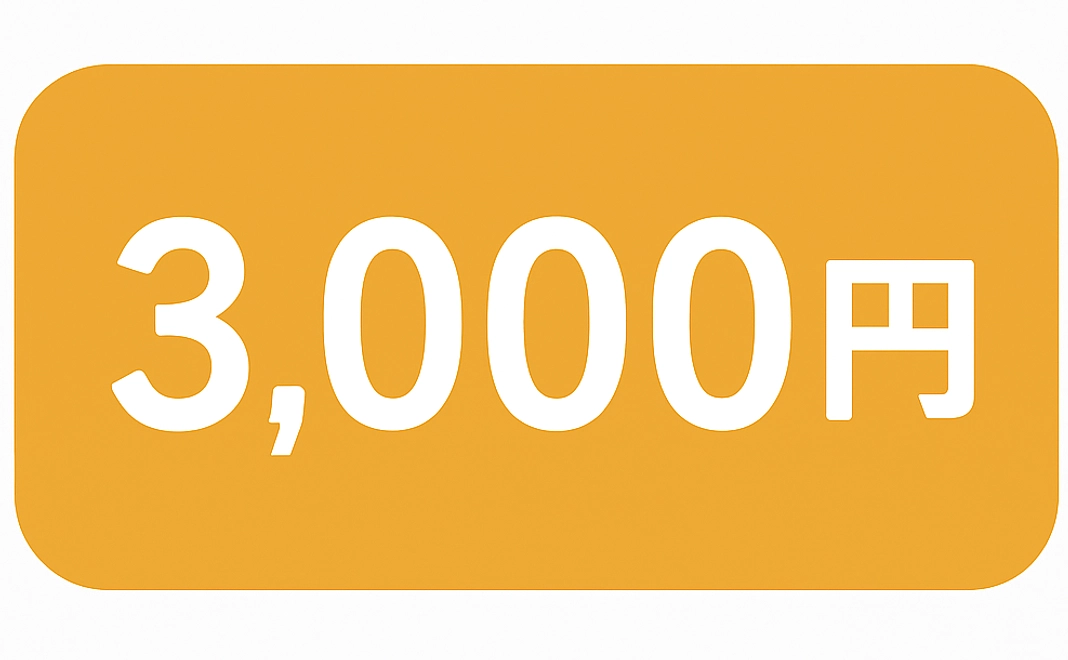 ご支援金3000円
