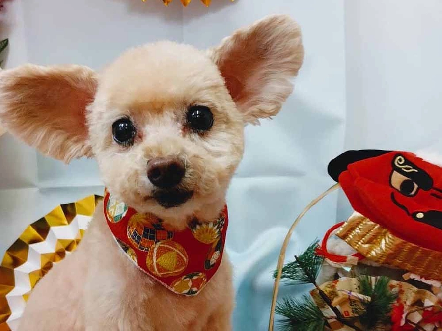 クラファンの連絡をいただいたきトレーニングを再開しました！