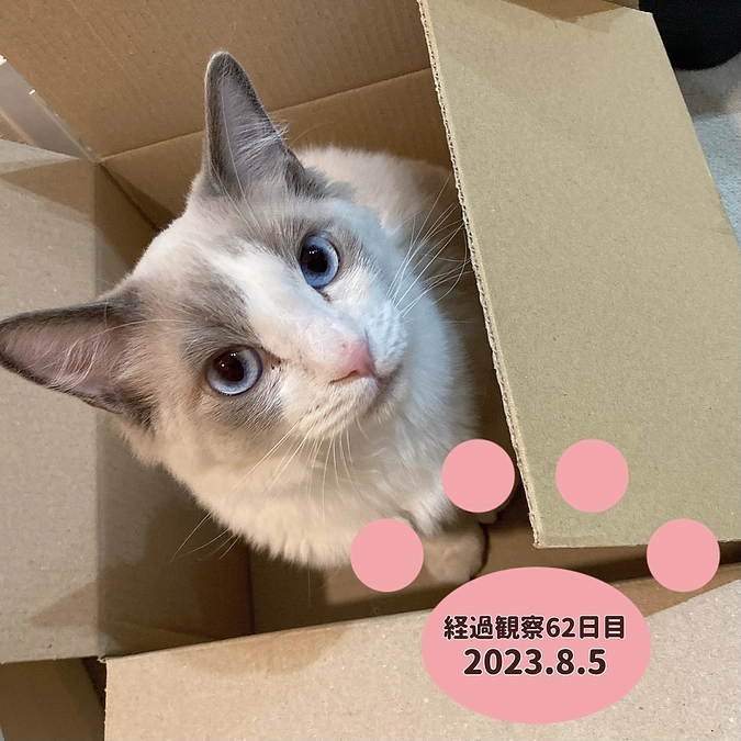 経過観察62日目(2023.8.5)