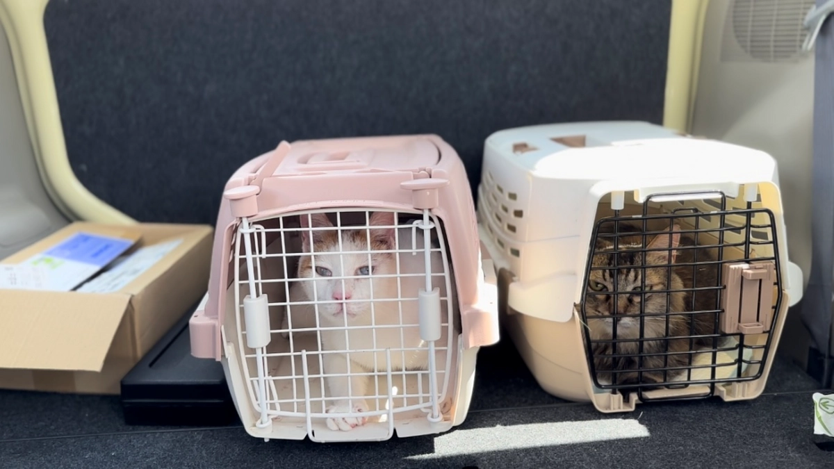 検査結果のご報告