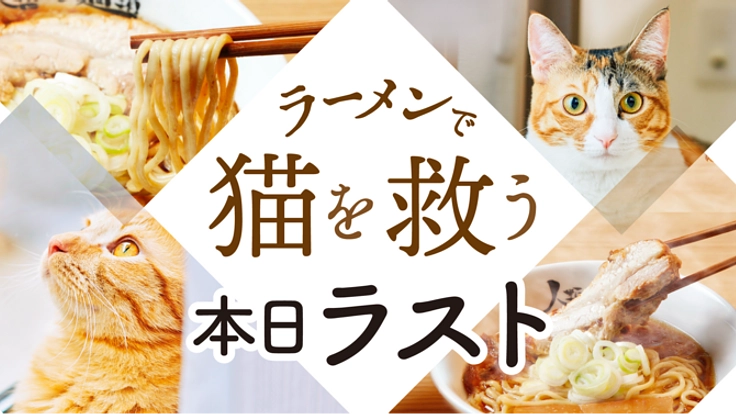 ラーメンの力で猫を助ける「保護猫ラーメンカフェ」を作ります！