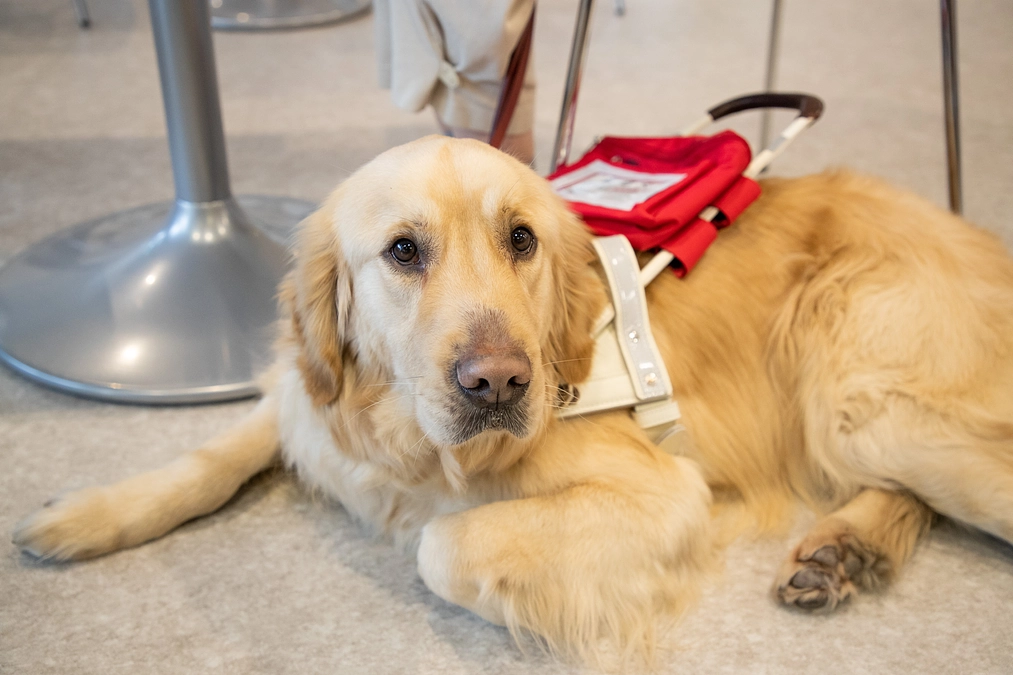 【60％到達！】目標金額達成まであと約90万円！！