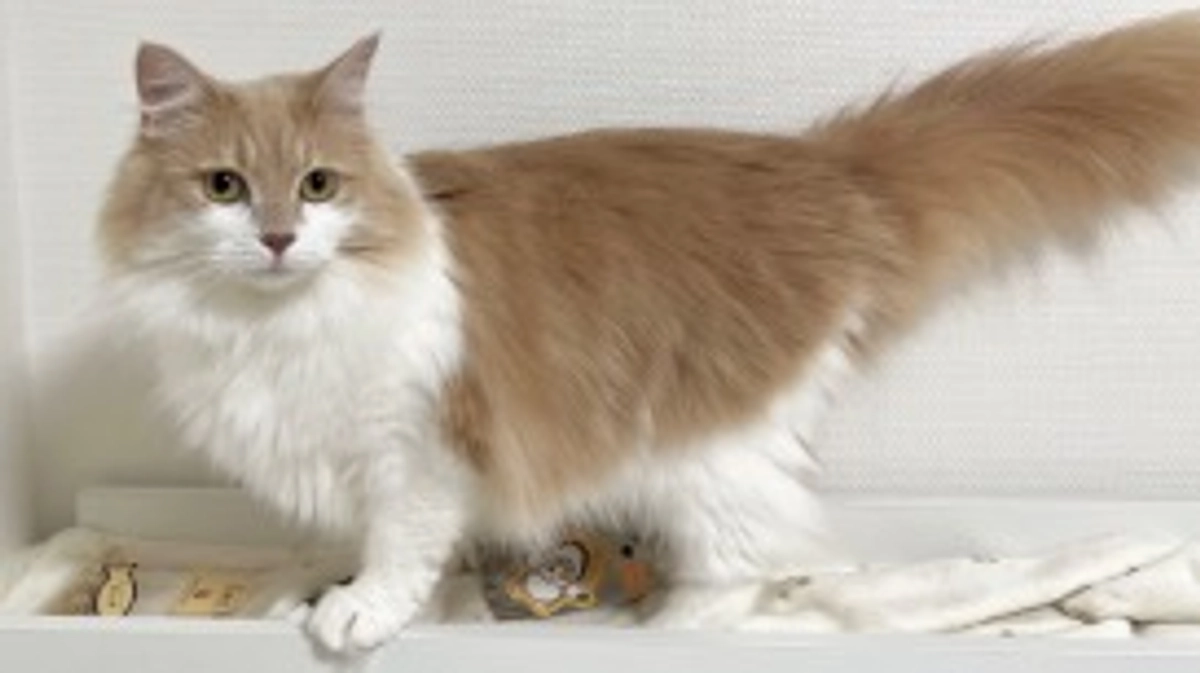 最近のシェリーちゃん☺️