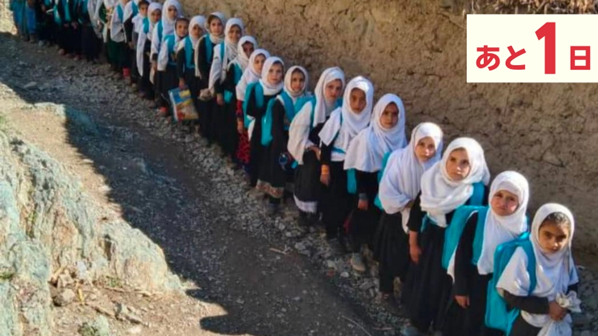 【あと1日】プロジェクト支援者応援コメント紹介③