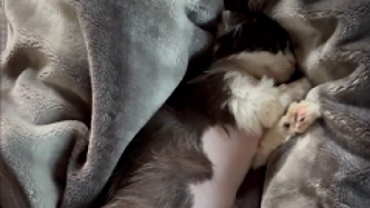 11/8のテオくんの様子