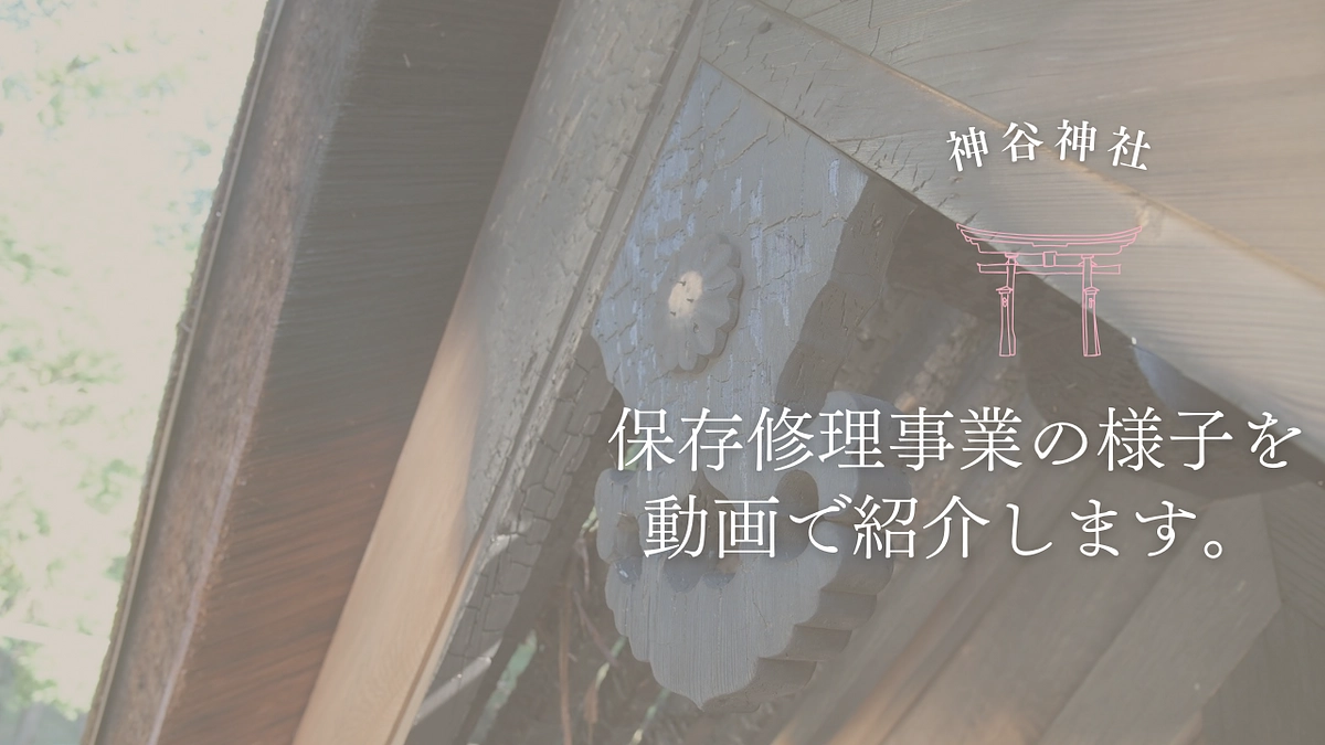国宝神谷神社本殿建造物保存修理事業における記録映像の公開について