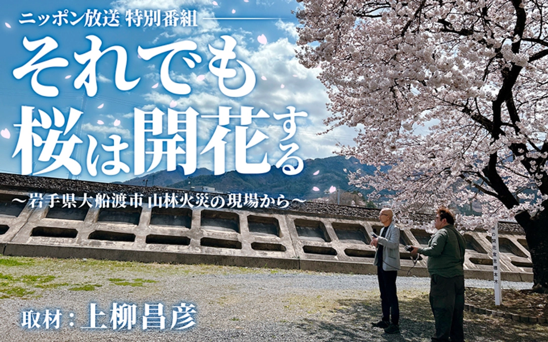 【メディア放送のお知らせ｜ニッポン放送 特別番組でご紹介いただきます】