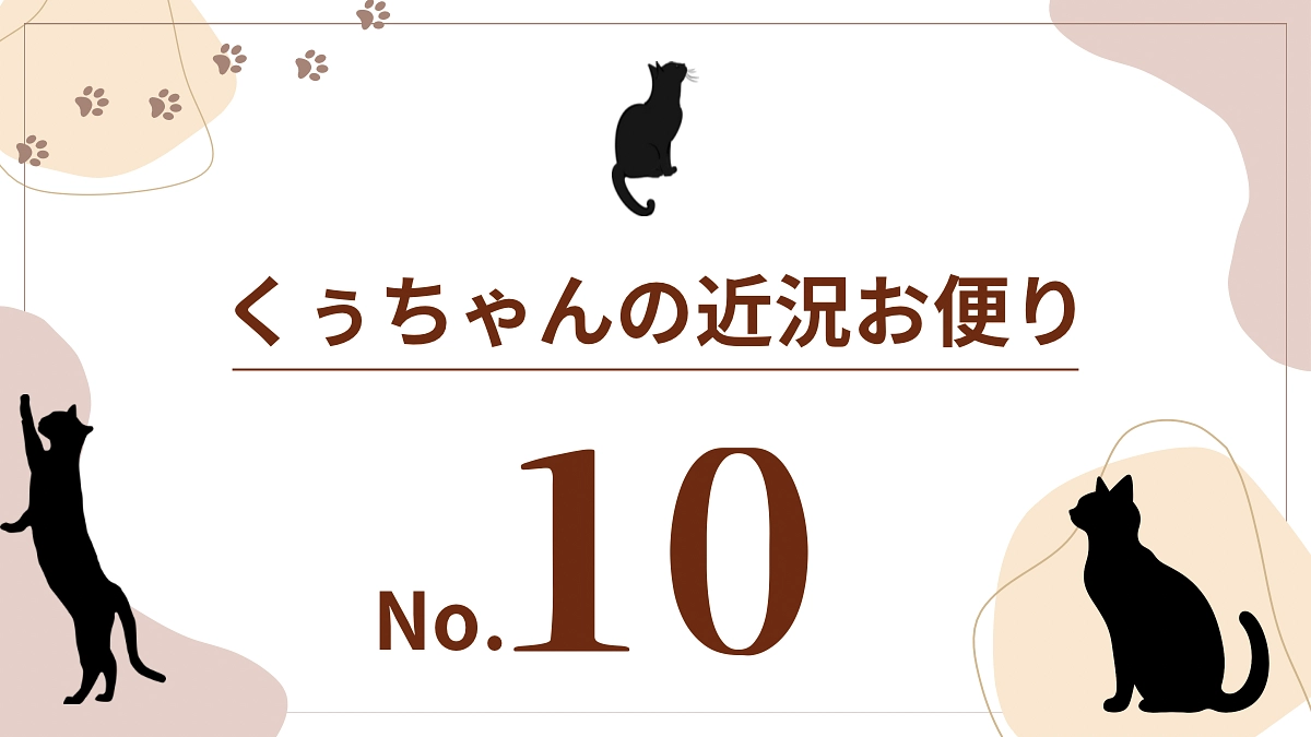 【くぅちゃんの近況おたより（8月16日）】