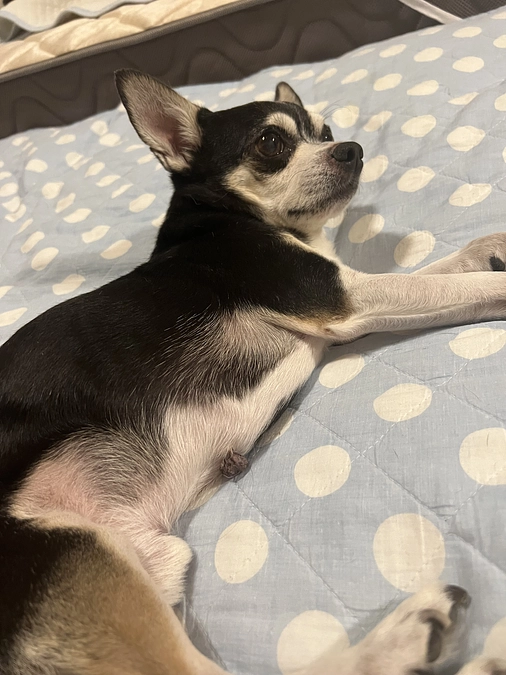 クラウドファンディング残り10日‼︎