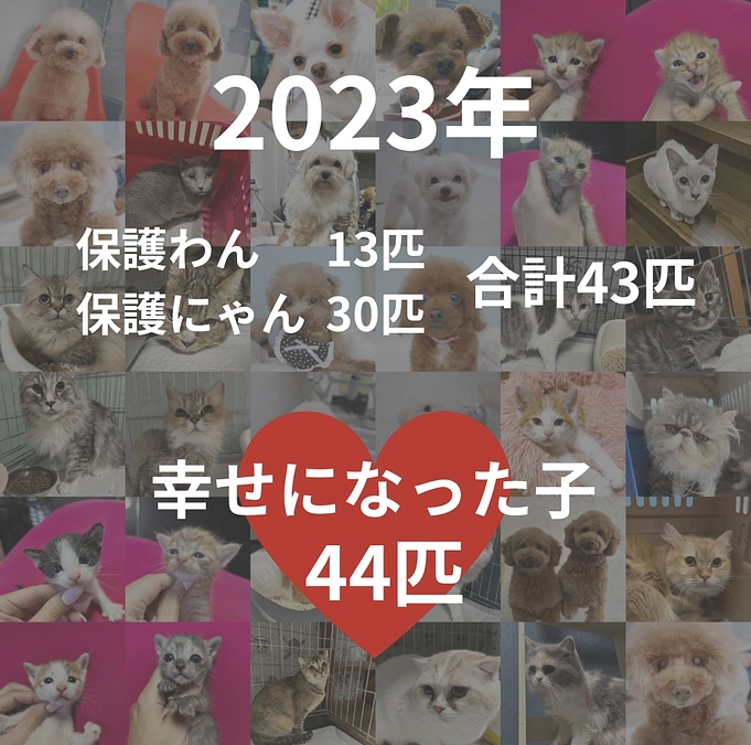 2023年活動報告