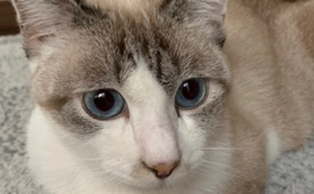 ユキ応援コース②