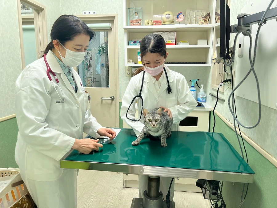 応援メッセージ：赤坂動物病院 柴内晶子院長/人と共にしか生きられない伴侶動物は、人間社会が責任を。