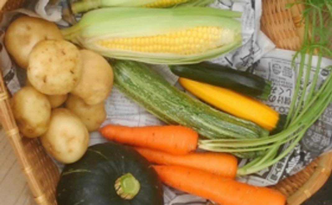 【手塚夫婦を食べて応援】旬のオーガニック野菜セット（5〜6種類）