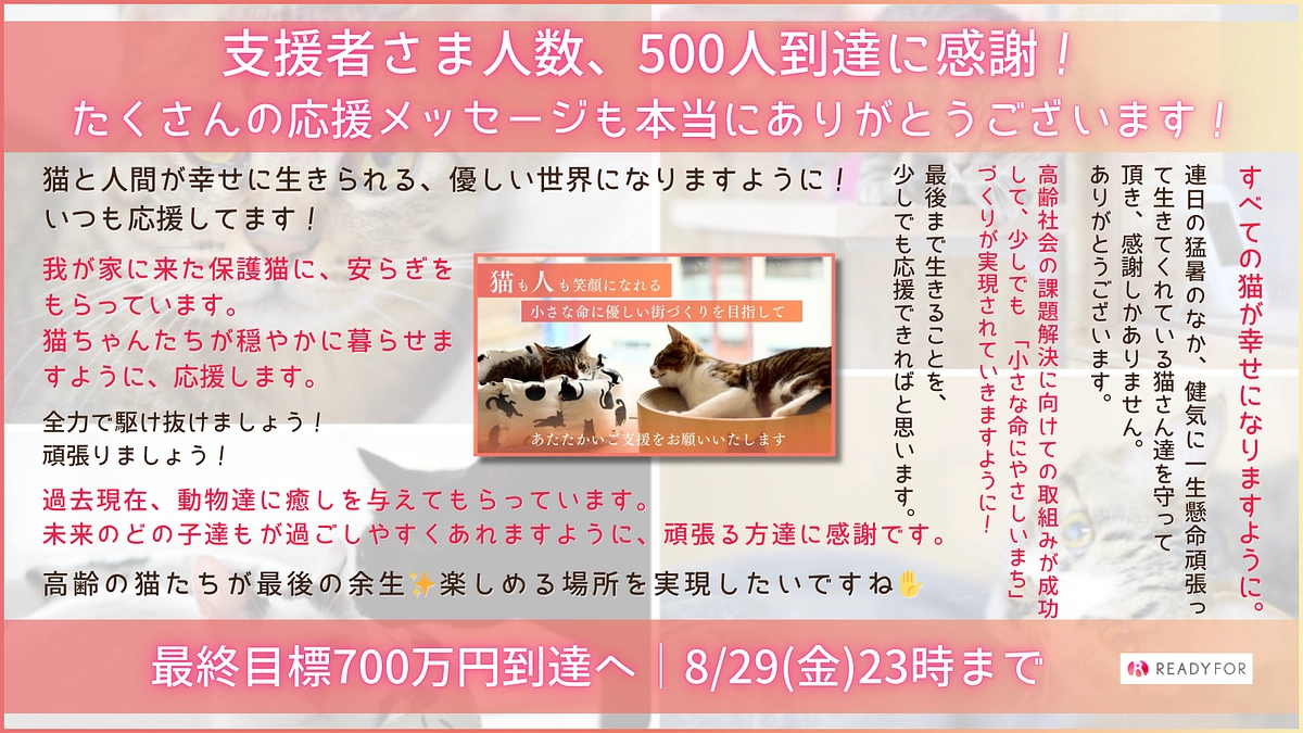 【ご支援者様人数500人突破！！！】最終目標700万円、猫庭デッキ新設に向けて最後まで頑張ります！