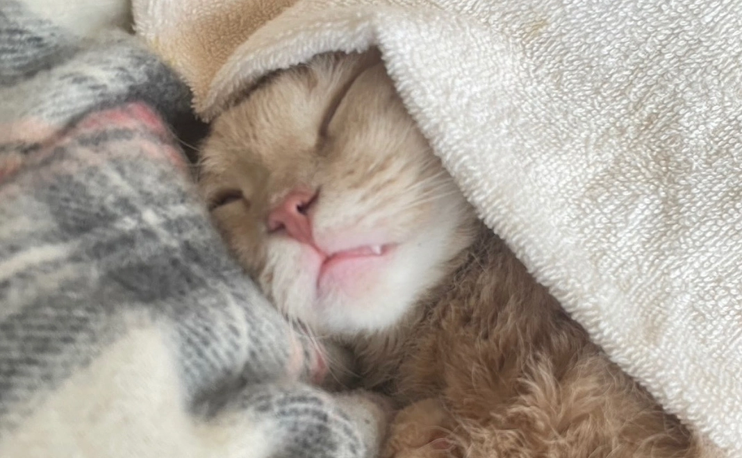 感謝のメール【4】