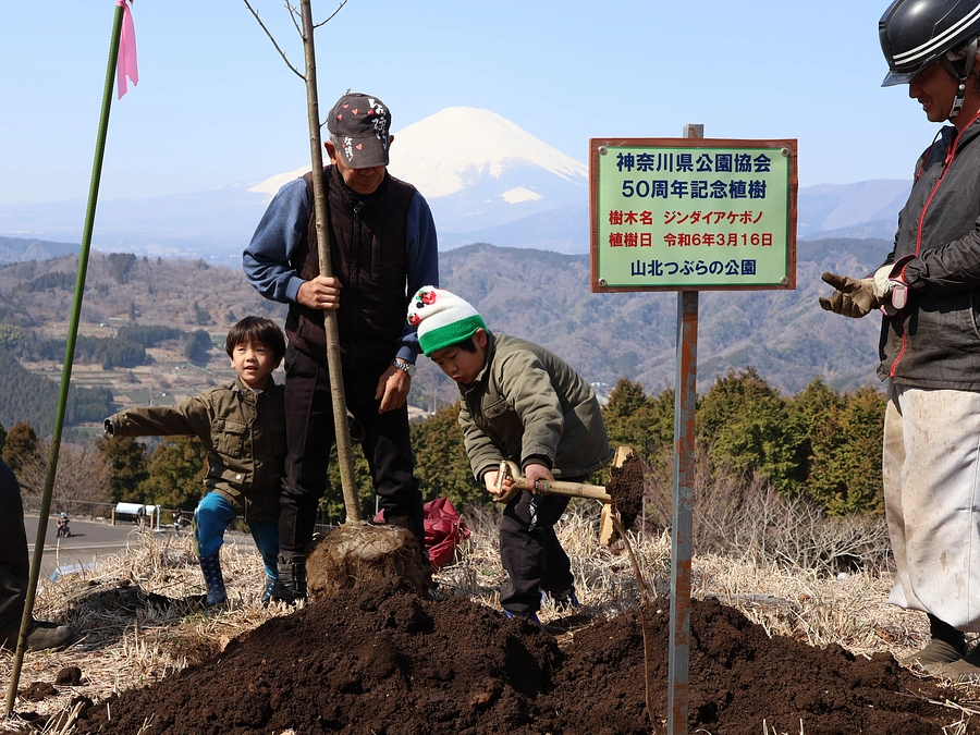 【山北つぶらの公園】水と桜の交流植樹会・桜の補植