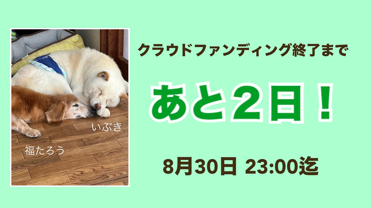 【終了まであと2日！】無駄な命は一つもありません！最後まで走り切ります！