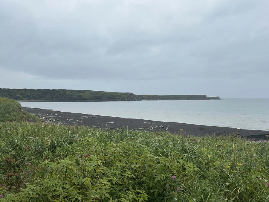 いよいよアラスカ調査が始まりました！