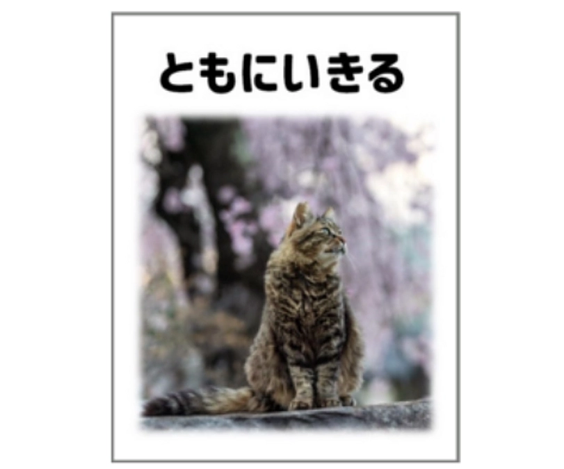 ３９０万円を超えました！！感謝いたします！！