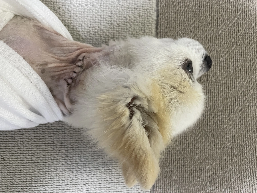 退院後2日目になりました！